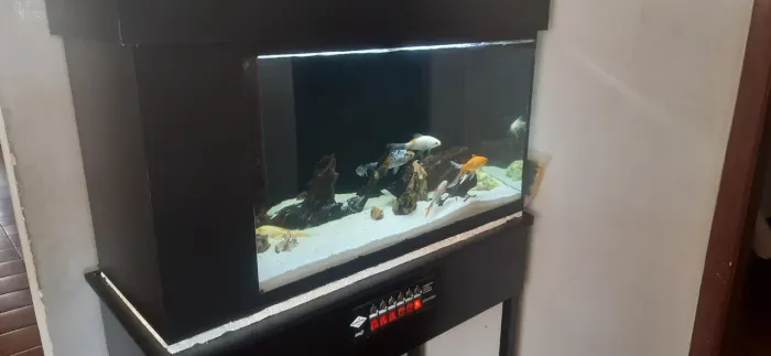 Aquario 200 lt
