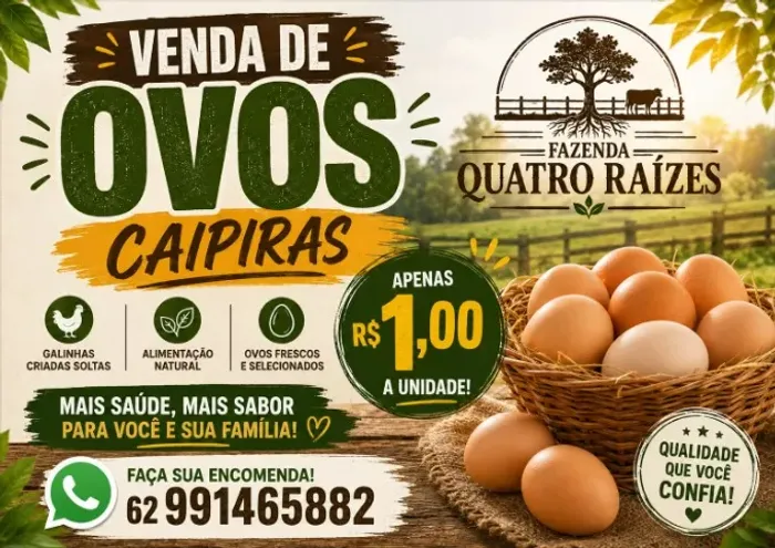 VENDA DE OVOS CAIPIRA