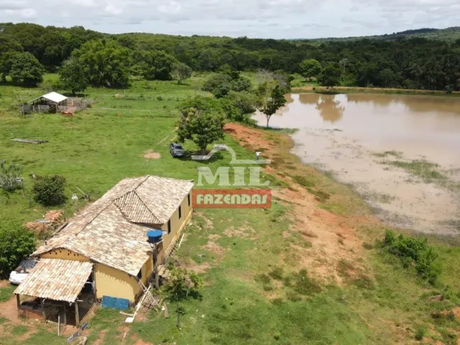 Fazenda no Município de Goiás velho 37 alqueires (179 HÁ)