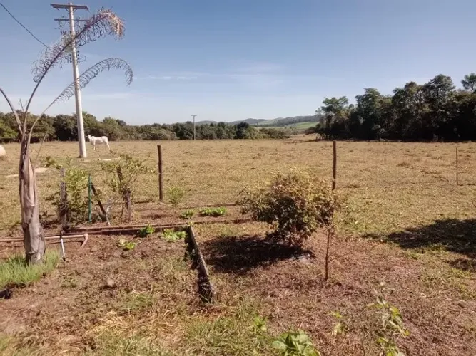 Sitio a venda regiao Ribeirao Preto 7.6 ha bom para cafe cana soja gado lazer