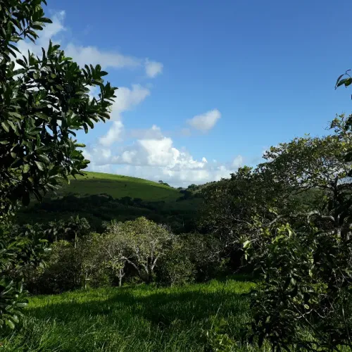 Lote/Terreno 1750m² em Catende PE - Próximo à Pista (Aceita Proposta)