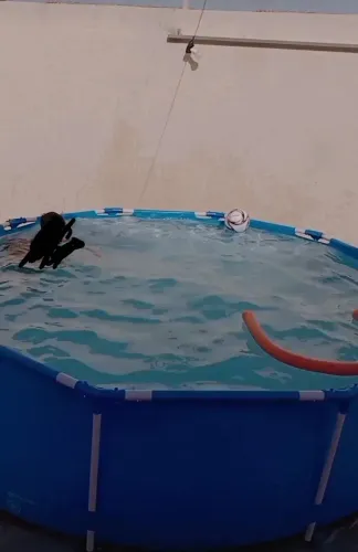 Piscina tamanho família nova