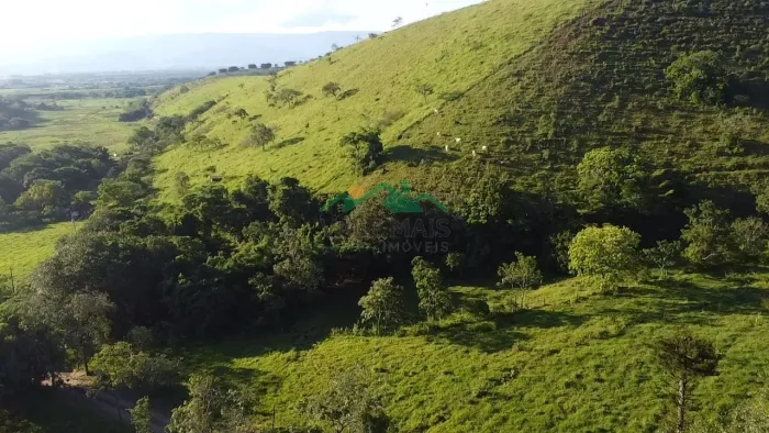 Terreno à venda, 20000 m² por R$ 290.000,00 - Roseira Velha - Roseira/SP