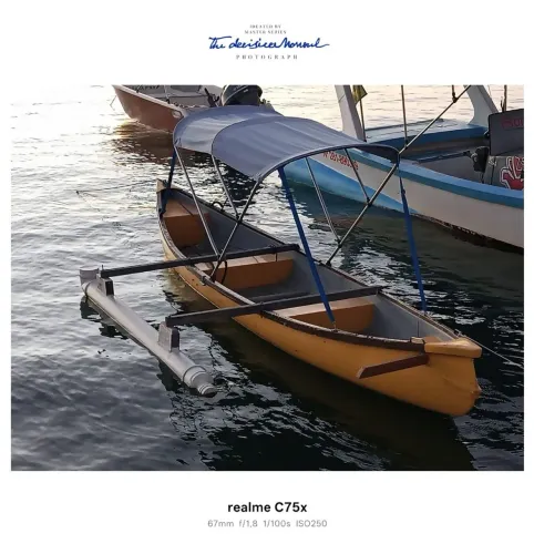 Vendo canoa 