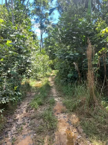 Terreno km 27 
