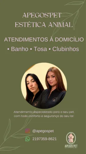 Banho e tosa a domicílio 