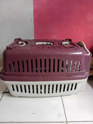 Casinha de cachorro