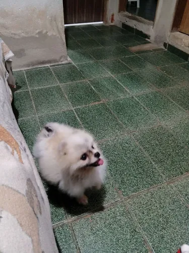 Doação de uma sprit