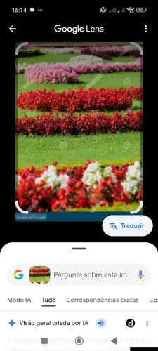 Serviço de jardinagem preço justo