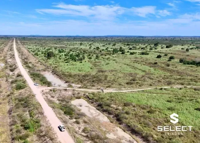 Leilão Judicial - Até 35% de desconto - Fazenda com 2.336 hectares em Corumbá - MS