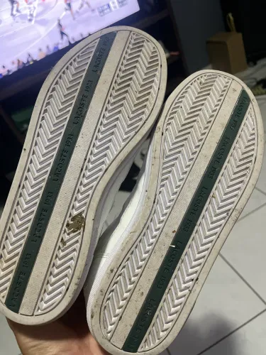 Lacoste europa