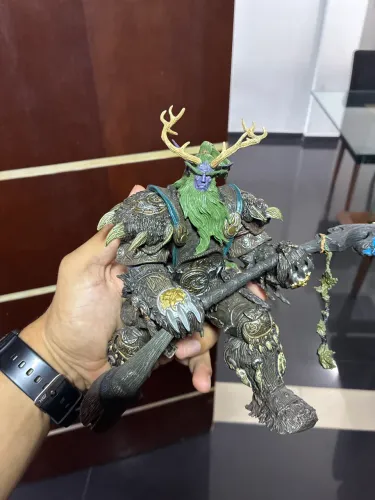 Druida world of Warcraft