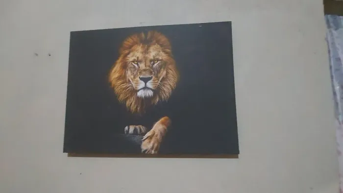 Quadro leão