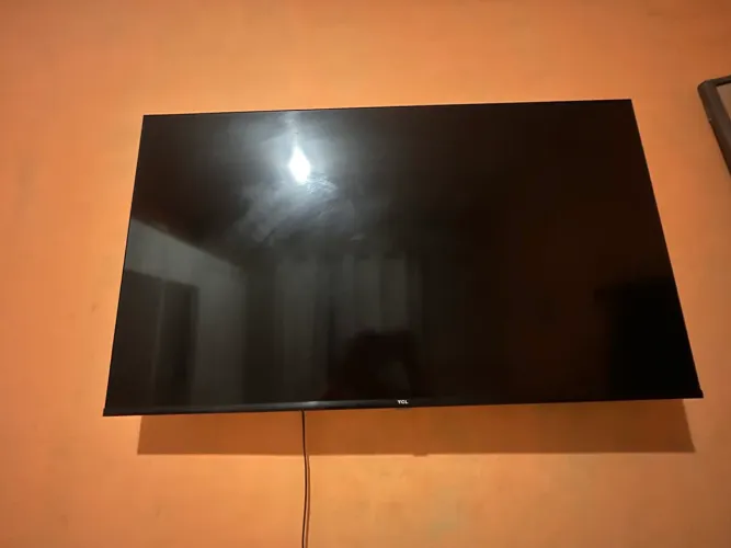 Televisão