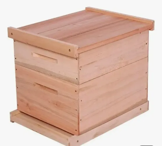 Colmeia para Abelha