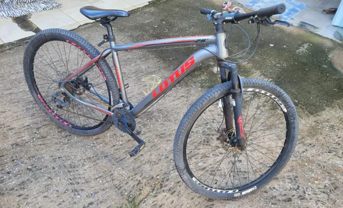 Bicicleta