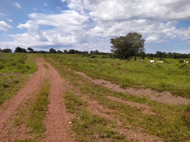 Fazenda Pecuária no Município de Dois Irmãos/TO - 558 Hectares Rica em Água