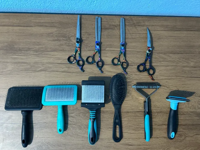 Kit de Tesouras e Rasqueadeiras