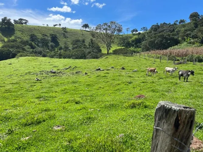 Chácara em Paraisópolis 12.000 m2 - Só terra