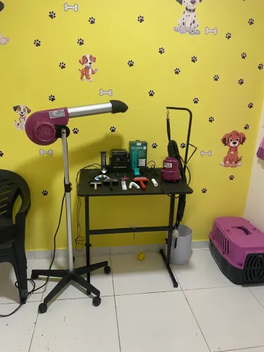 Vendo banho e tosa completo 