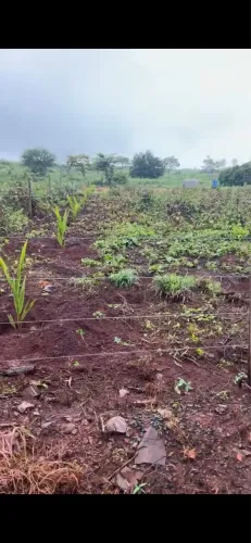 Chácara na estrada da produção