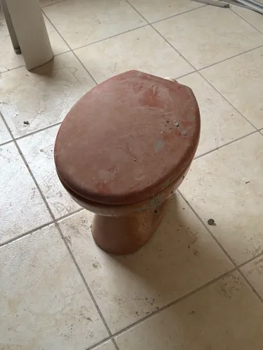 Vaso sanitário
