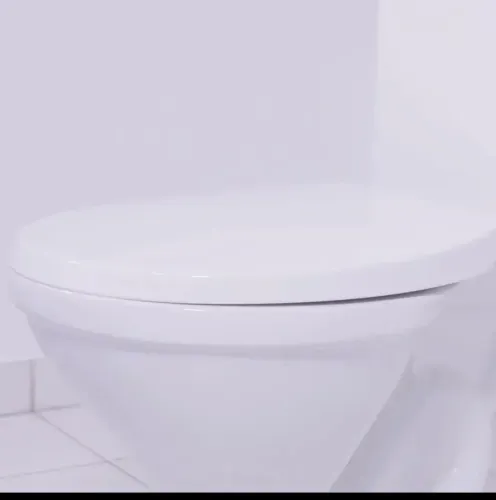 Assento Sanitário Oval Soft Close Fechamento Suave