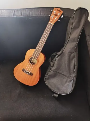 Ukulele Shelby-concert
