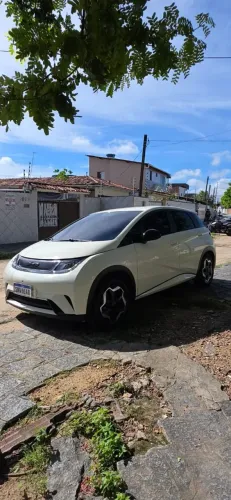 BYD Dolphin EV (Elétrico) 2024