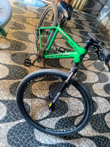 Lótus verde
