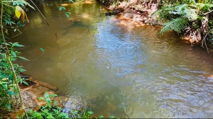CHÁCARA EM UNIFLOR - PR