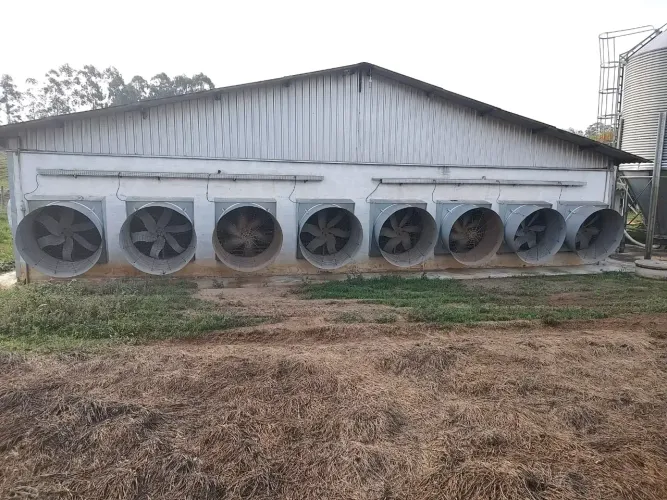 Granja p/ 30.000 frangos e Confinamento p/ gado (7,5 alq.), em Bragança Pta