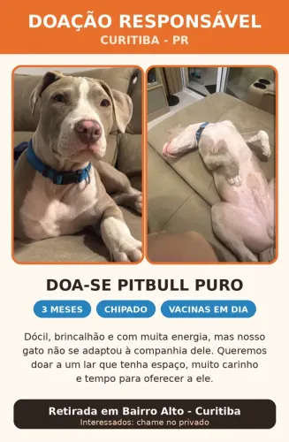 Doa se pitbull