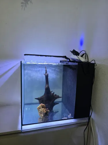 Aquario cubo com Sump Traseiro 