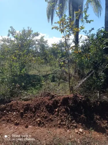 Olhos D`´agua - Minas Gerais - Fazenda de 1.277 hectares