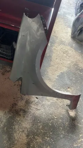 Paralama Direito Punto