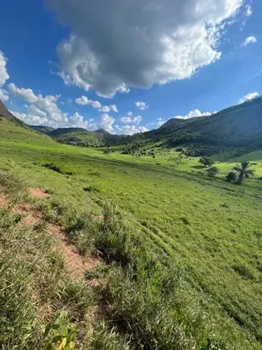 Fazenda 1.452 hectares - terra pronta