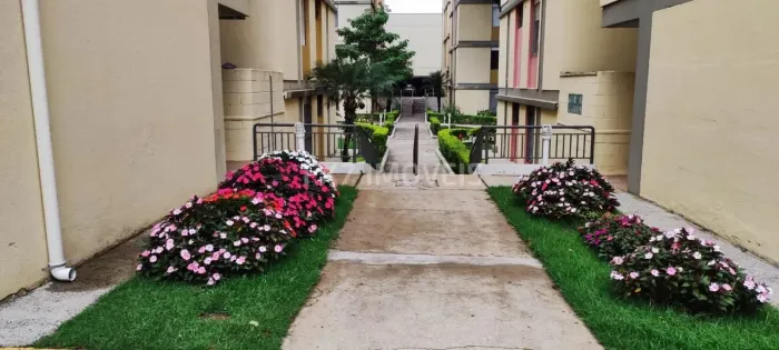 Apartamento á venda no Condomínio Ilha Verde no bairro Vila João Jorge - Campinas/SP