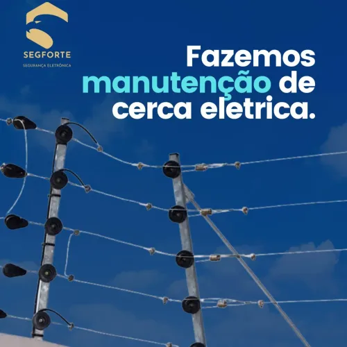 Cerca elétrica 