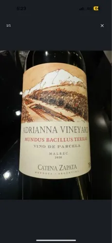 Vendo kit com 2 garrafas do vinho Adrianna Vineyard malbec safra 2020