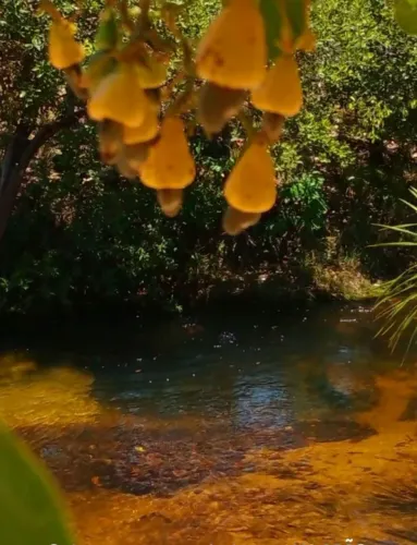VENDE-SE um pedaço do paraíso no JALAPÃO!