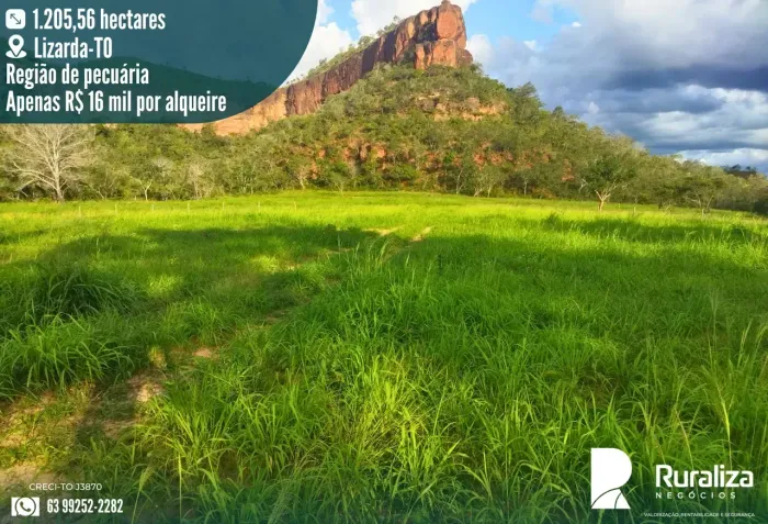 1.205 HA | POTENCIAL PARA 517 HA DE PASTAGENS | R$ 3,98 MILHÕES