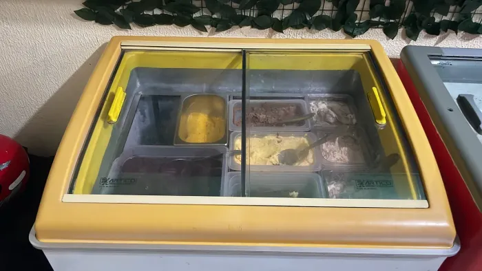 Freezer expositor