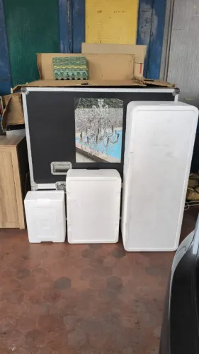 Caixas de isopor lote