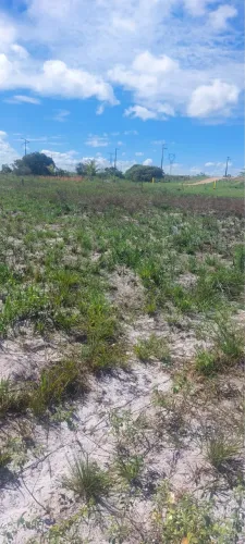  Vende-se lotes de terreno próximo ao trevo de jatobá 