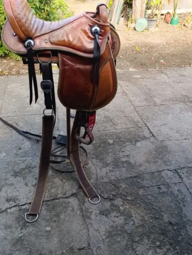 Sela australiana