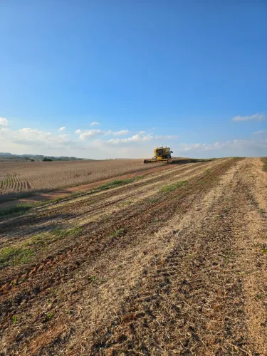 Arrendamento Fazenda
