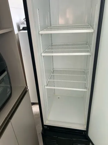 Freezer freecon 220 V seminovo