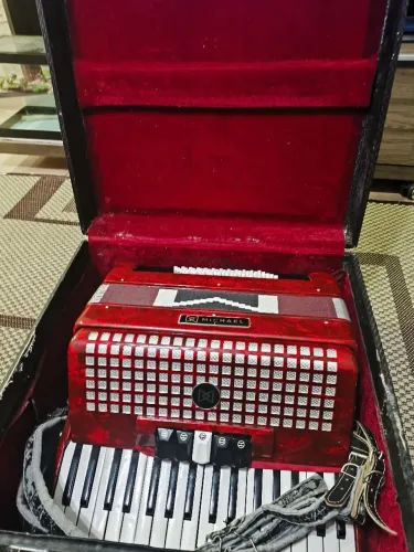 Acordion Michael 60 baixos 