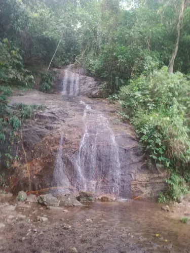 Sítio Alfredo chaves 5 Alqueires 